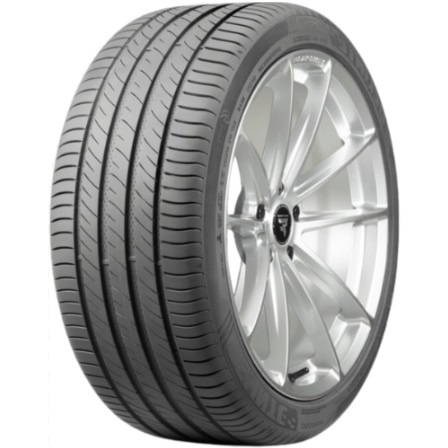 Tires Delinte DS 2 XL 205/50 R17 93W